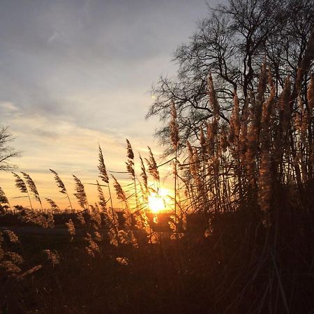 Spreewald-Ferienwohnung Reschke Radensdorf Zewnętrze zdjęcie