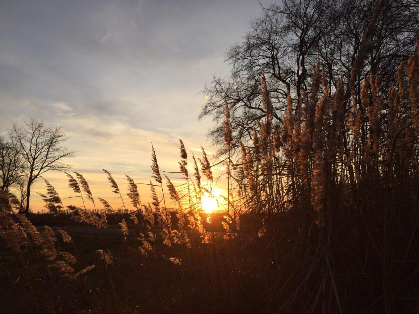 Spreewald-Ferienwohnung Reschke Radensdorf Zewnętrze zdjęcie
